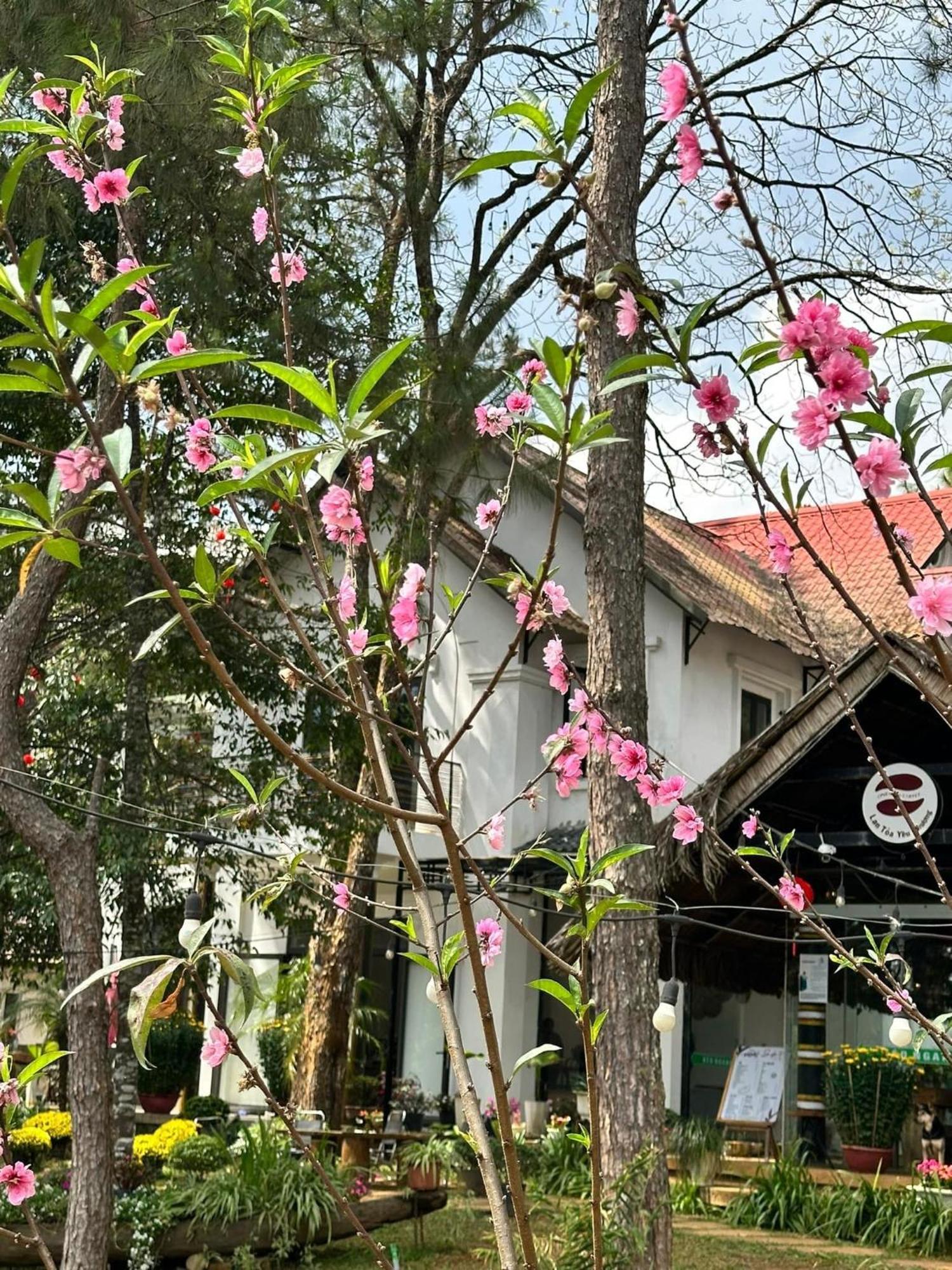 S'Nghe Homestay Mang Den Kon Von Kla Esterno foto