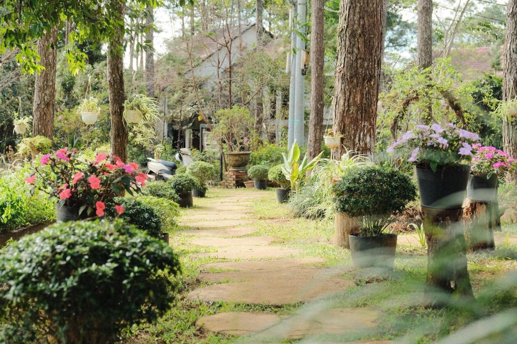 S'Nghe Homestay Mang Den Kon Von Kla Esterno foto