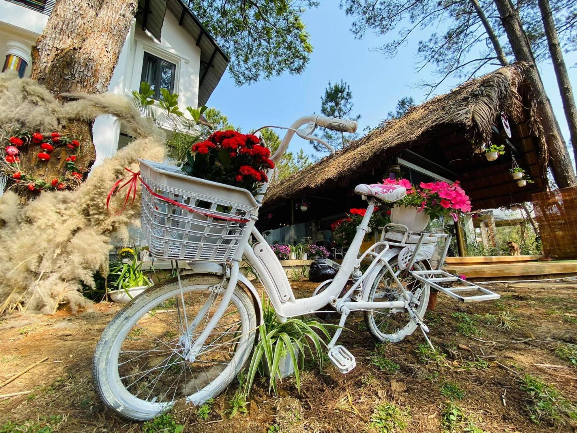 S'Nghe Homestay Mang Den Kon Von Kla Esterno foto